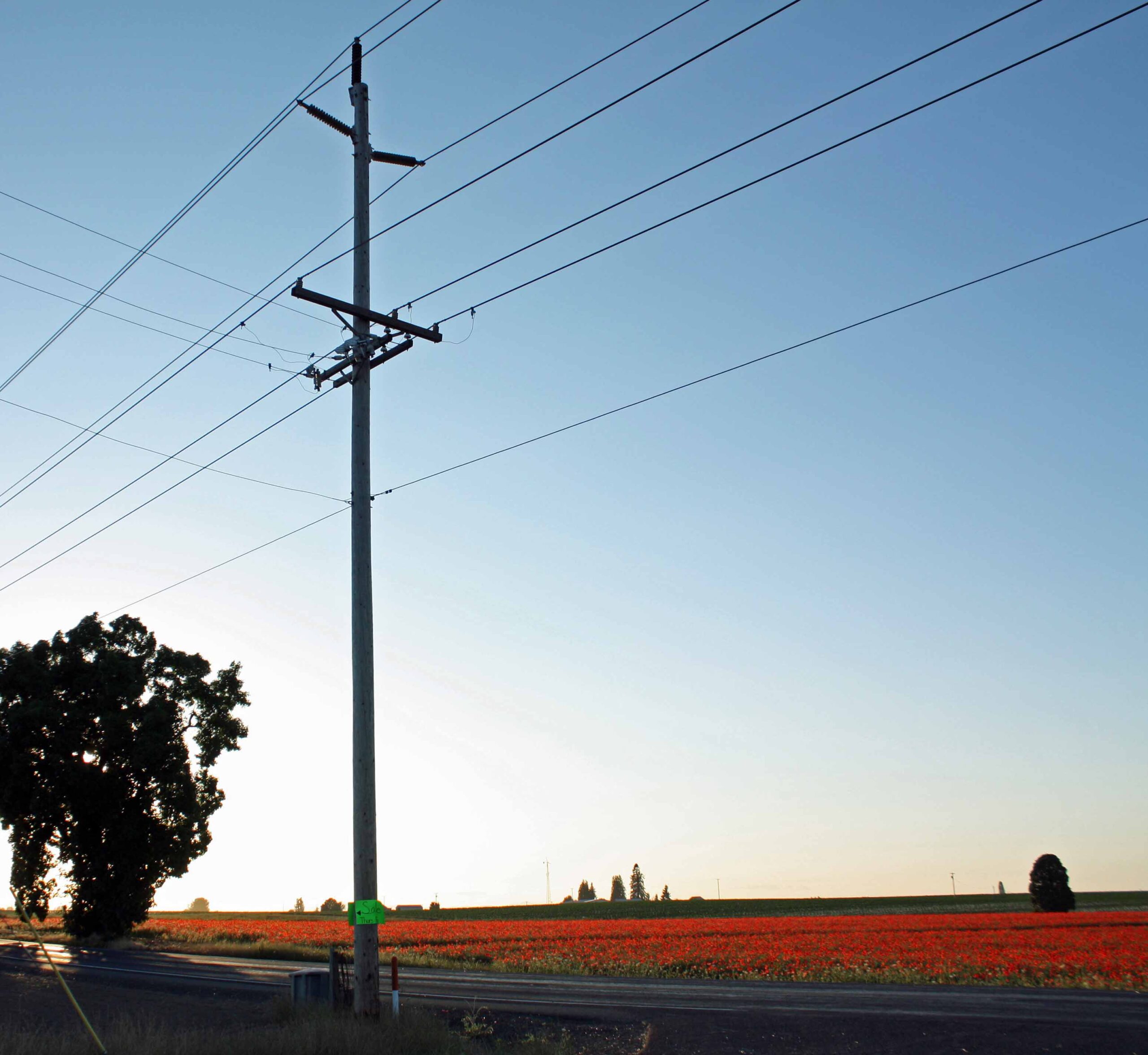 Combined SmartFume vs. MITC products Single Pole next to Poppy Field